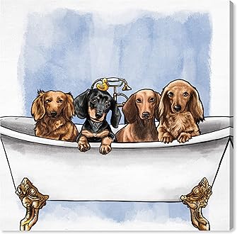 Amazon.com: Oliver Gal: Animals
